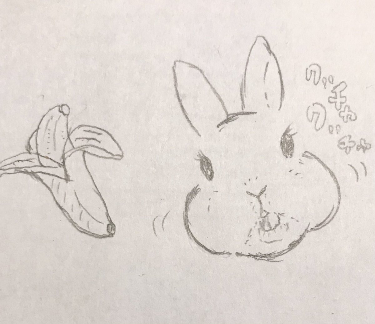 うさぎがバナナ食べてるところ🍌🐰

#うさぎ #イラスト 