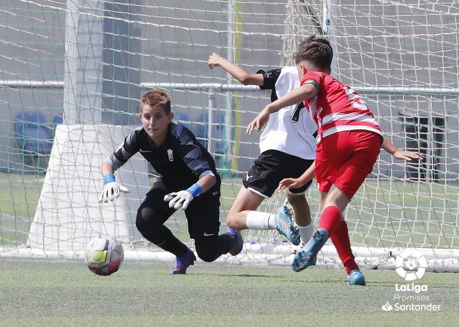CanteraNazari's tweet photo. Nuestro alevín roza las semis en la XXIX #LaLigaPromises. ¡Gran torneo para poner fin a una temporada 🔝 de nuestros chicos!

Info y fotos ➡️ https://t.co/zeqrNg5aZY

#CanteraNazarí https://t.co/Fb9CGROnR2