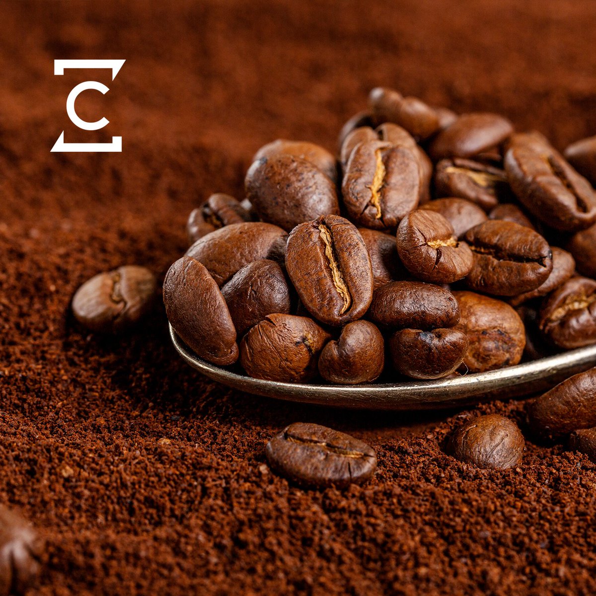 zonacaffezgz's tweet photo. En Zona Caffè no nos andamos con rodeos. Nos gusta ir al grano...de café 😜. Porque tenemos el mejor café italiano para que afrontes los días con toda la energía del mundo 🔋.
Ven a nuestra tienda o visita nuestra web y descubre toda nuestra variedad 😉. https://t.co/hMDLTDqtne