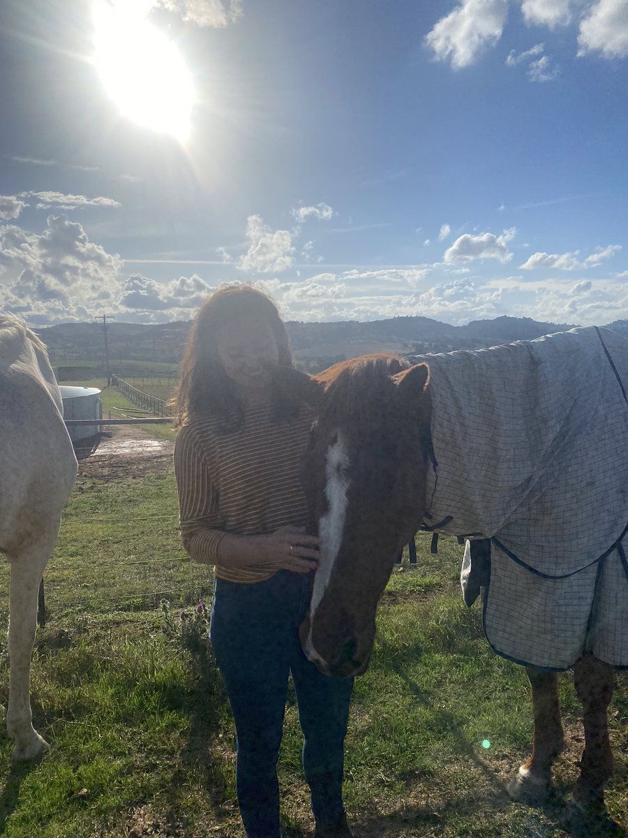 Kate95Arnold's tweet photo. Forever a champion 🤍 So lucky to have met the beautiful Burst at @NewhavenPark earlier this year https://t.co/8QLMOmx2QG