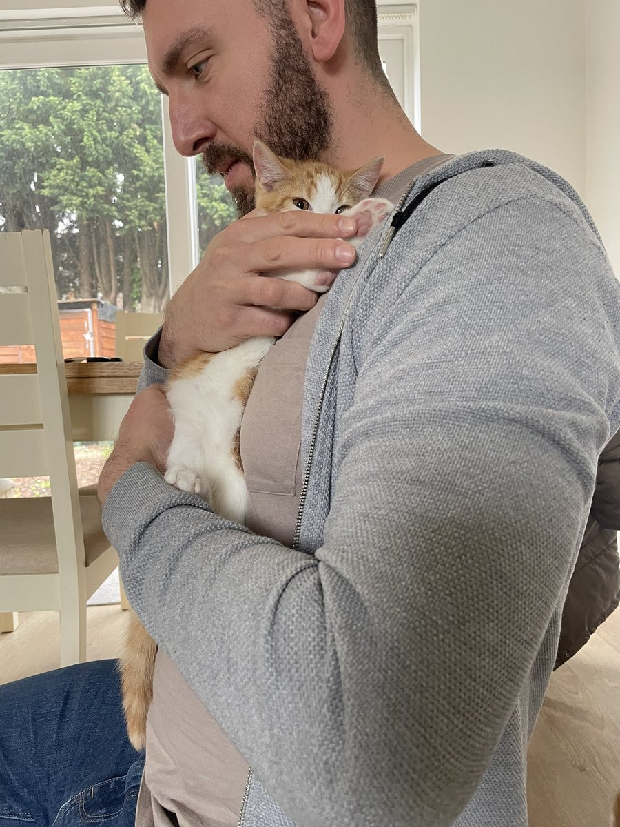 IAmKelsx's tweet photo. Angus and Albus settled into their new home right away.We are so in love 🤍 @rspcamcrsalford https://t.co/KGBuf6xvNB