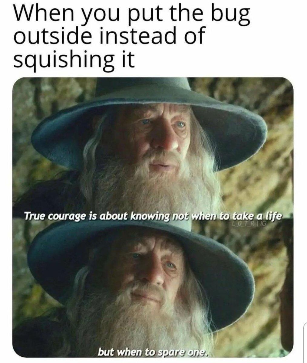 The Mellon Heads - LOTR Podcast (@mellon_heads) on Twitter photo 