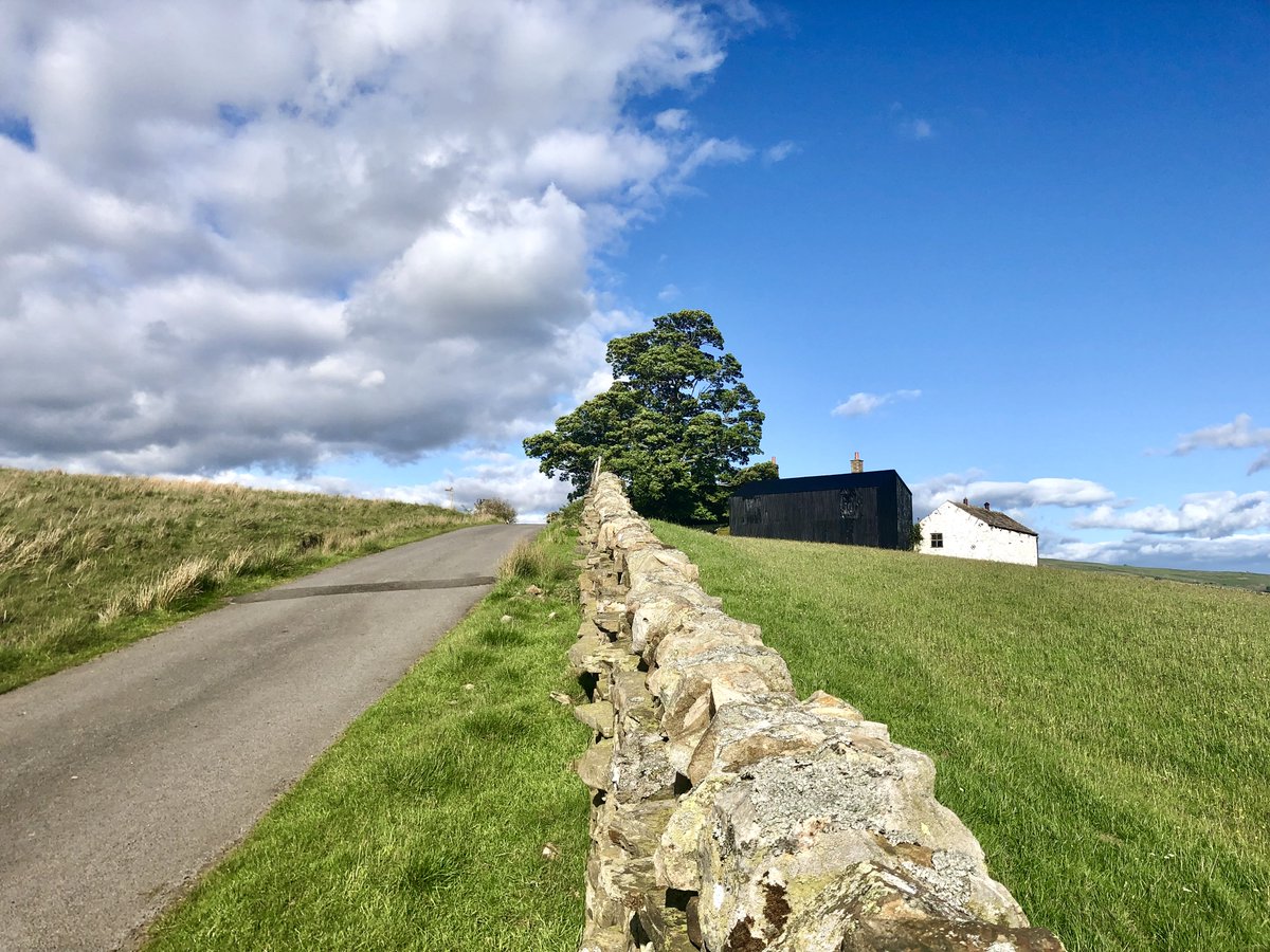 2/2 Happily managed not to put my thumping great boot in this beautiful lapwing nest. Possibly abandoned? This one was in empty pasture, whereas the lapwing parents and chicks seemed abundant and lively wherever there were sheep