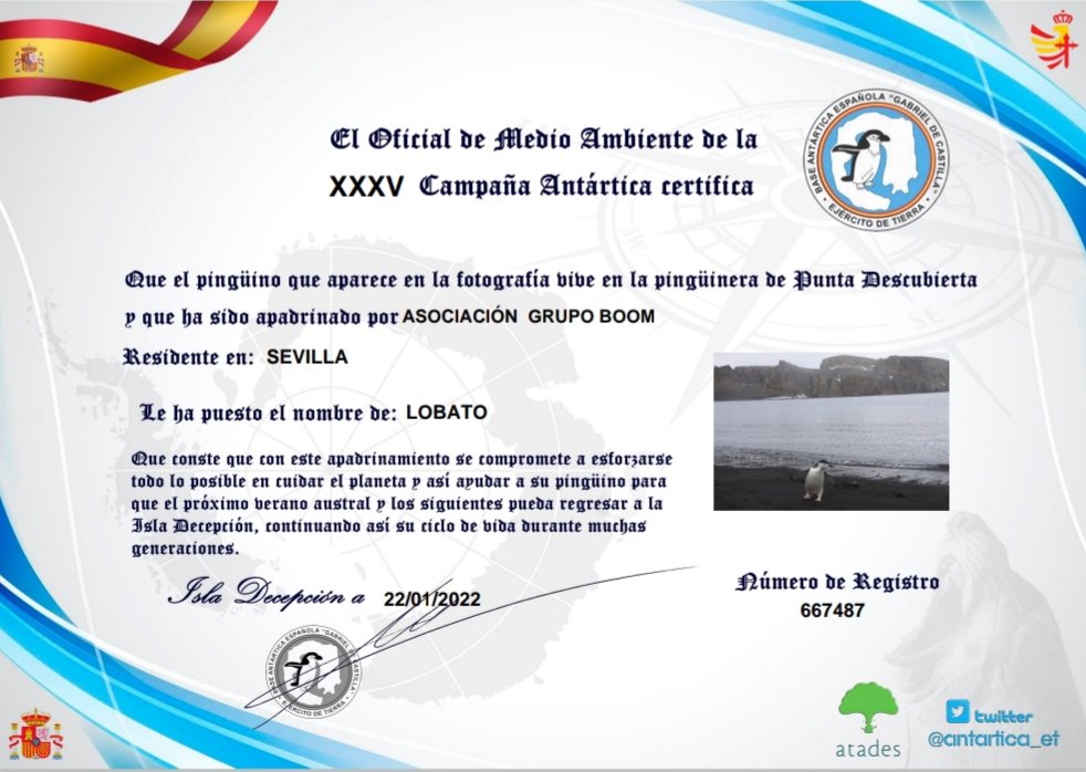 SemosLosBoom's tweet photo. Ayer 5 de junio fue el #diadelmedioambiente y queremos recordaros lo importante que es cuidar nuestro planeta. Nosotros estamos muy concienciados, ¿y tú? #adoptaunpingüino #semoslosboom #poligonosur #cuidaelplaneta https://t.co/3qiOvdQQk1