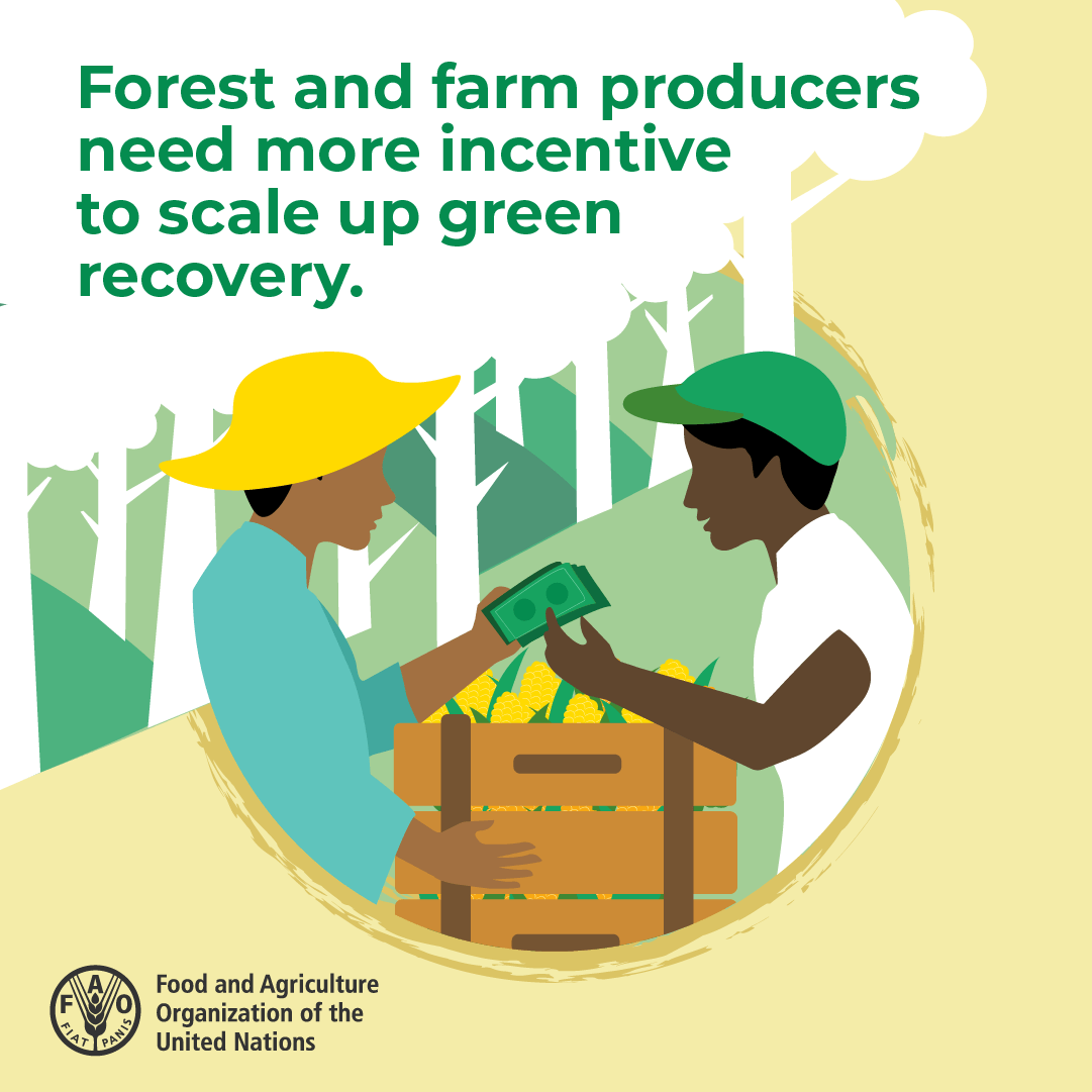 FAOForestry's tweet photo. Download the 2022 edition of the State of the World's Forests! 

👉https://t.co/XJqCcTbnwH

#SOFO2022 https://t.co/hno9DoyEmt