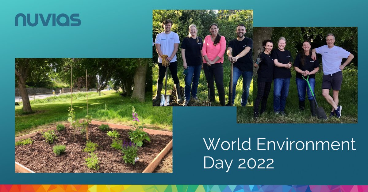 InfinigateGroup's tweet photo. On #WorldEnvironmentDay, @NuviasAdvNet created a pollinator garden for the local community in South Cerney, GLOS. We used organic elements to provide insects &amp; birds with a proper habitat to reproduce. 
Enjoy watching the little critters at work &amp; play! 🐞🦋🐝🦟🐛
#OnlyOneEarth https://t.co/laEUoG2viH