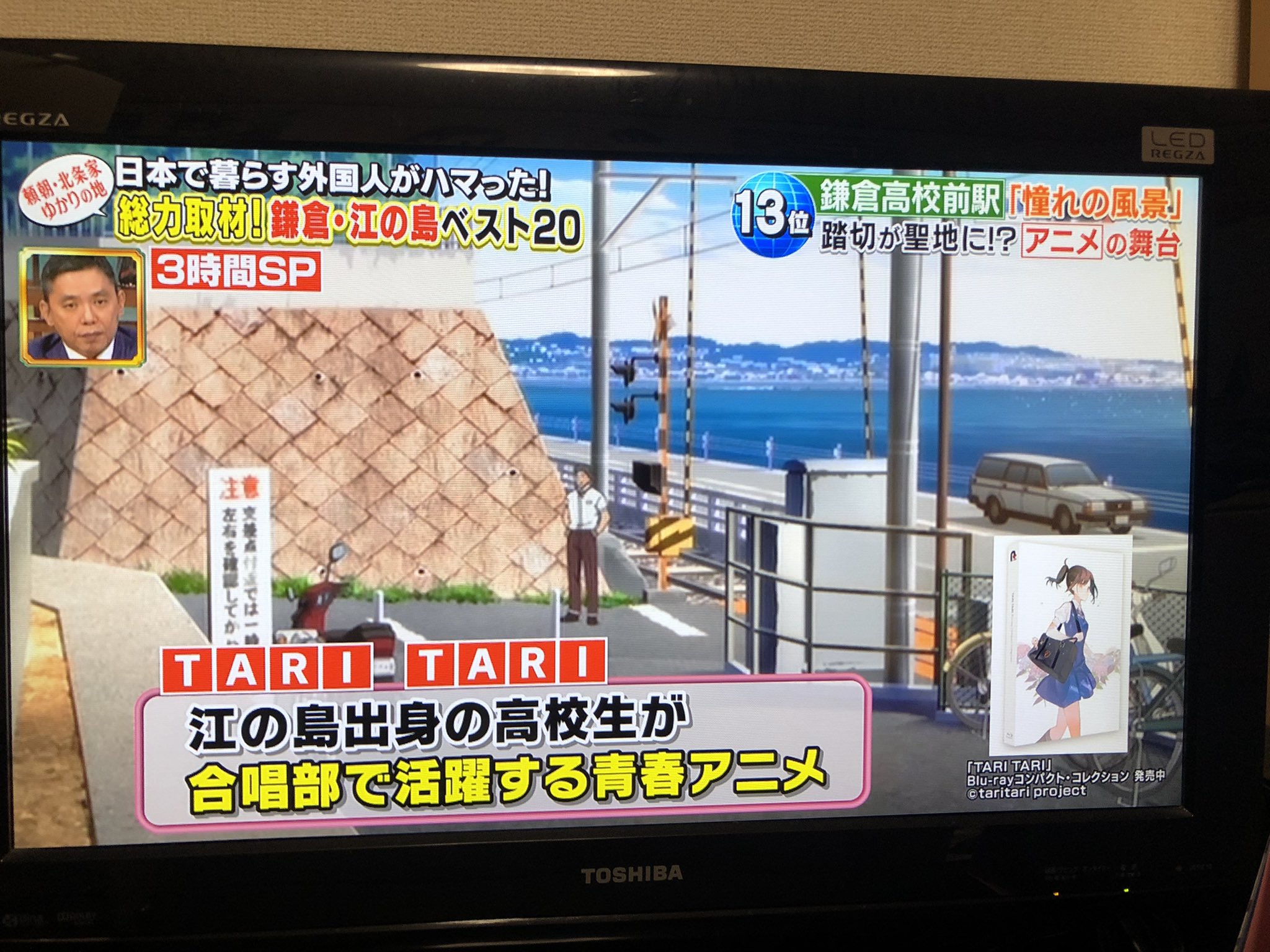 Taritari Twitter Search Twitter
