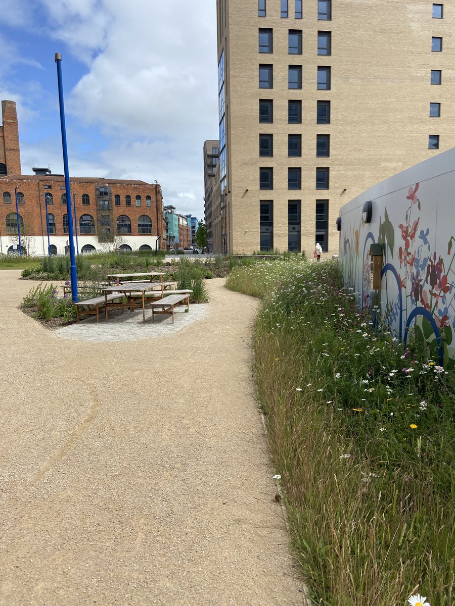landsmith_sarah's tweet photo. Nice work @BD_landscape at #LeonardoHotel #glassfields
Green space and seating so needed in this area - looking forward to seeing how it matures https://t.co/rrOKAce0v5