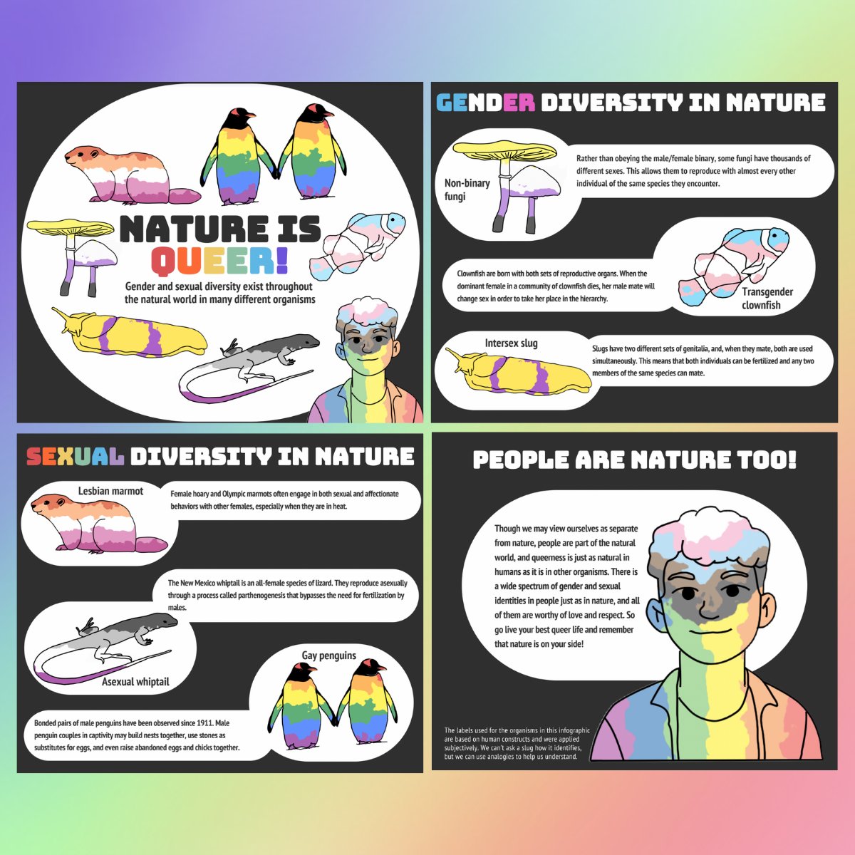 🌈🦘🦊🦨 Theo Bamberger, a graduate student at <a href="/uw/">University of Washington</a> created this delightful infographic highlighting how gender and sexual diversity exist through the natural world. Thank you for making this, Theo 💙🦭🐘🐍🦑🐅🌈