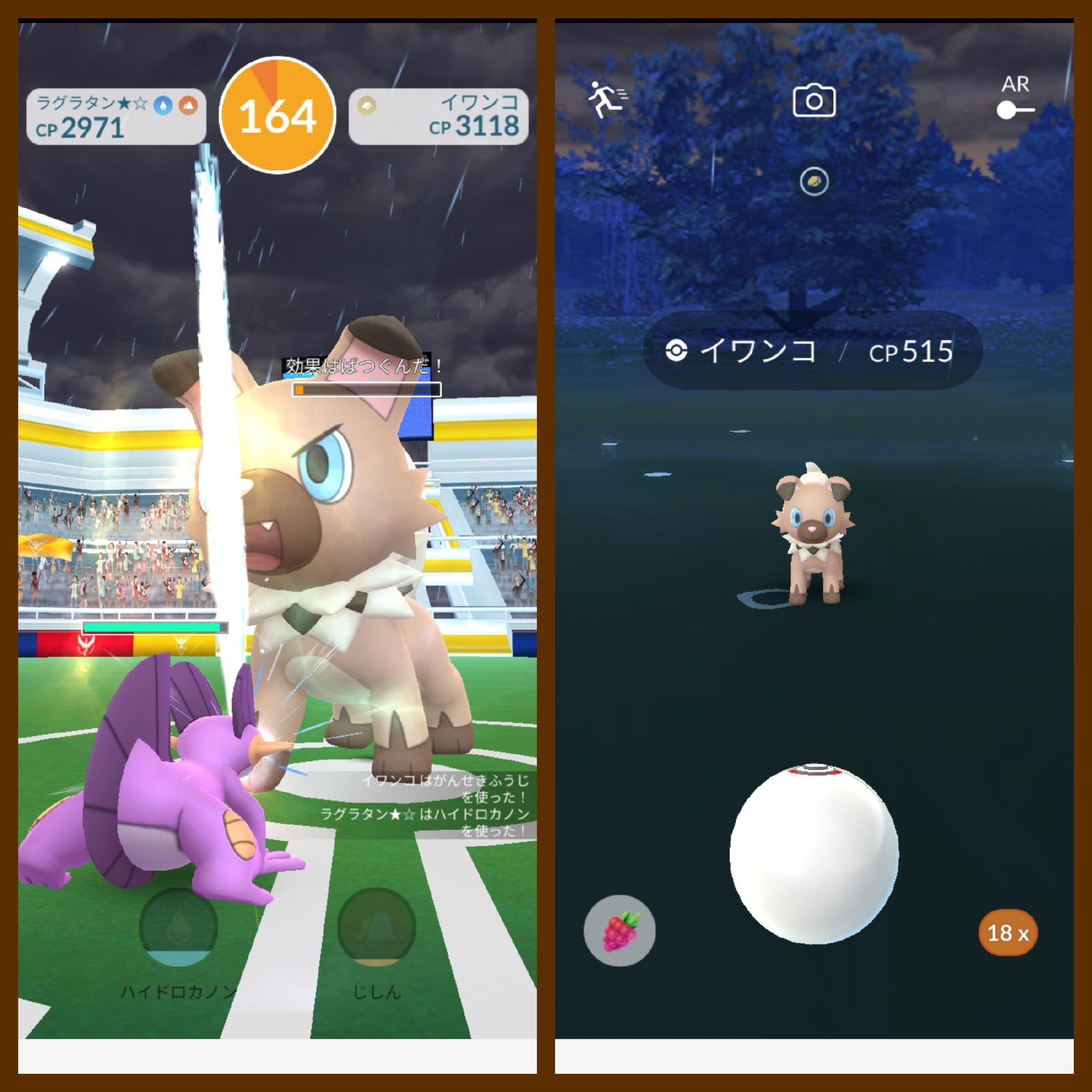 Amazinghisa 今日のポケモンgo活動 フェスでたくさん歩いたので 50km達成 仕事で疲れたのでレイドはイワンコ 帰りの道中 野生のドラピオンとドータクンと遭遇 ポケモンgo いつでも冒険モード イワンコ ドラピオン ドータクン T