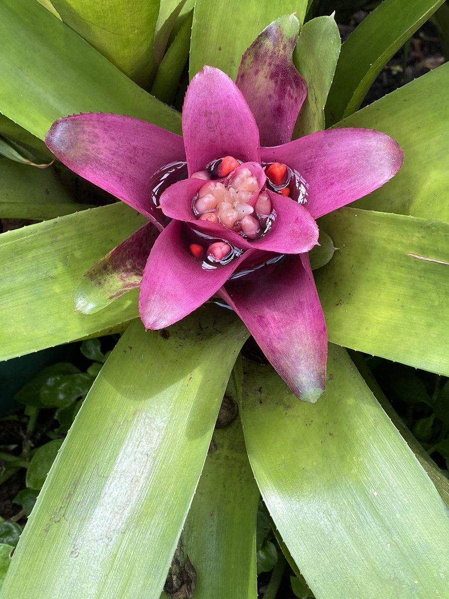 Cada vez que tu mente te lleve a recordar el pasado o te lleve a preocuparte por el futuro, sacude tu cabeza ligeramente y coloca tu atención en los detalles del momento presente.  Trae tus pensamientos de nuevo al aquí y ahora, mantente atento a cada cosa que haces. #Mindfulness