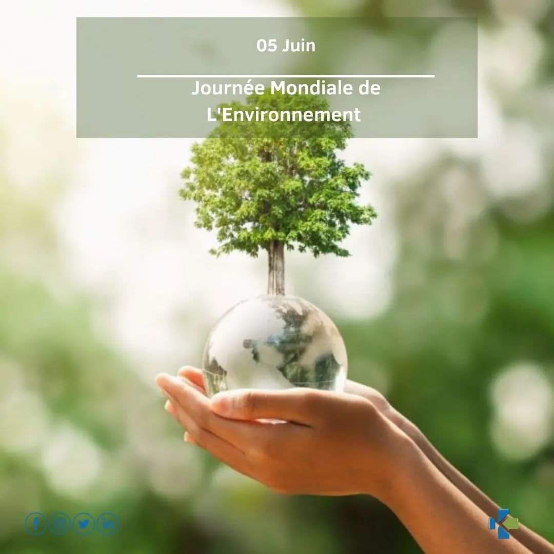 KitPharma's tweet photo. |JOURNÉE MONDIALE DE L'ENVIRONNEMENT| 

Nous réitérons notre engagement de protection de notre environnement en vous proposant des produits sains sans aucune matière animale.💚
.
.
.
.
.
.
.
#kitspharma #kiters #bodycare #bodycareproducts
#cotedivoire #vegan #crueltyfree https://t.co/ugXDyEQRxf