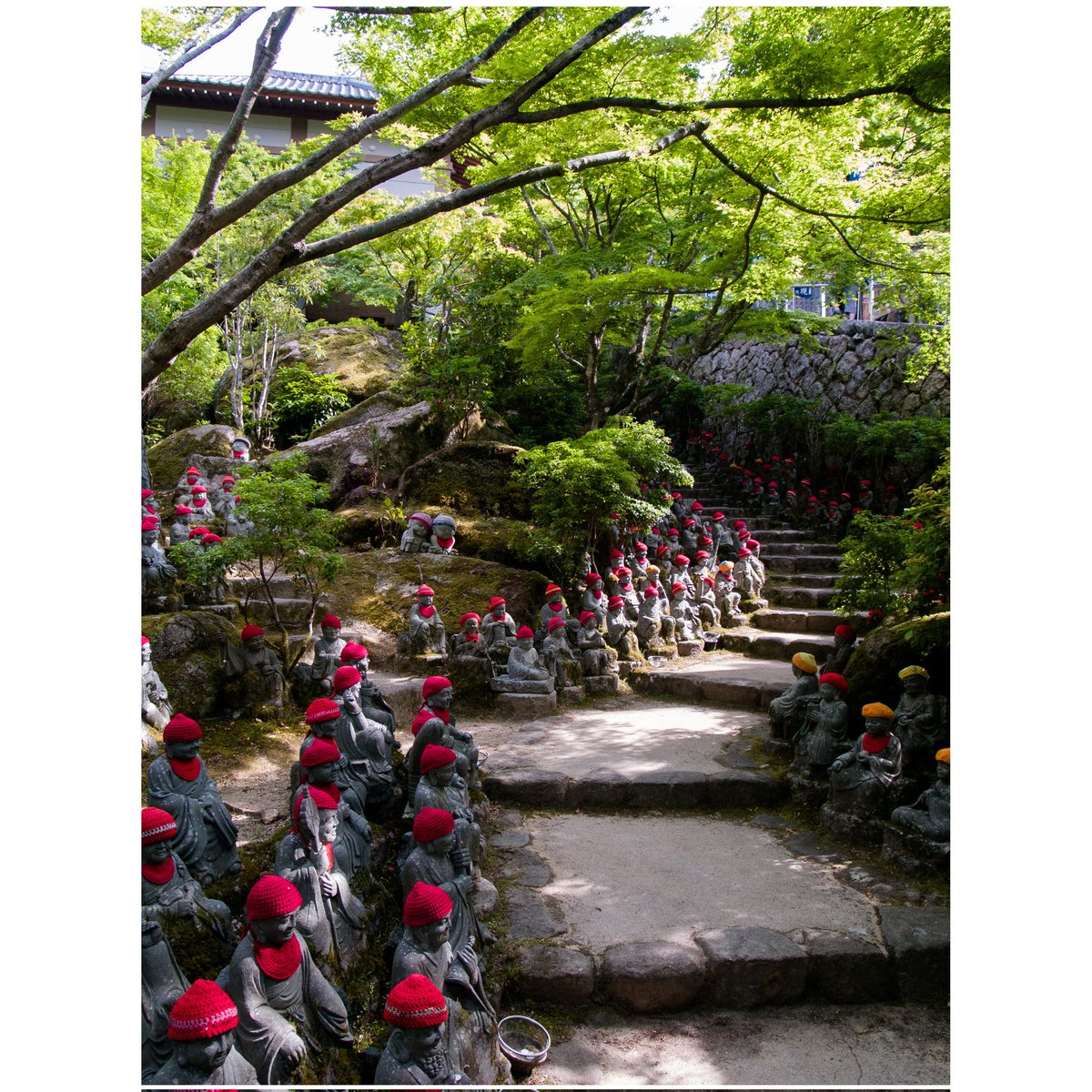 ByVegaR's tweet photo. Some #buddha around the #miyajima island 
---
Camera: #olympus e-300
Sensor: #kodak #ccd
---
Location: #hiroshima #japan
Shoot date: 2022/06/03
#streetphotography #streetsnap 
#streetphotographer #japanesestreet  #japanese #organiccolor https://t.co/GLlLX0fyPg