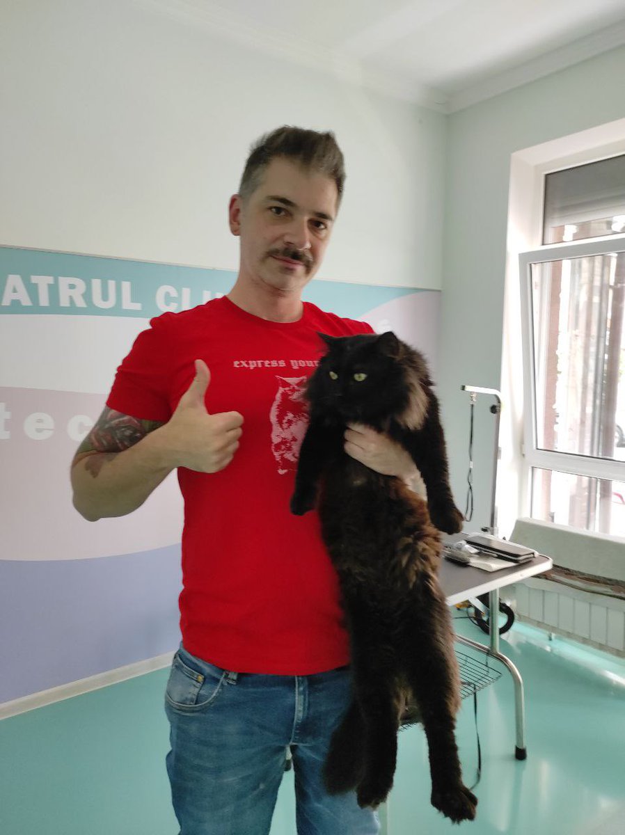 eugenehmg's tweet photo. Saved this LITTLE fella last week from the basement of destroyed building in Irpin. His name is Biggie ) #petsofwar #ukraine #cat #pet https://t.co/FKbYkSoCOq