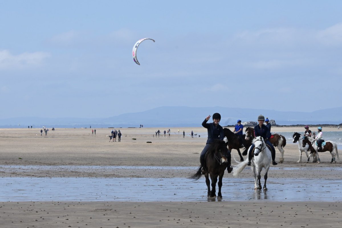 TrialBalance's tweet photo. A perfect day for a walk and a picnic in the Yellowcraig Beach, Dirleton 🏖 🧺 🐎 ⛵️ 🪁 
#Dirleton #Edinburgh #yellowcraigbeach #northberwick #VisitScotland https://t.co/u21AQeisiQ