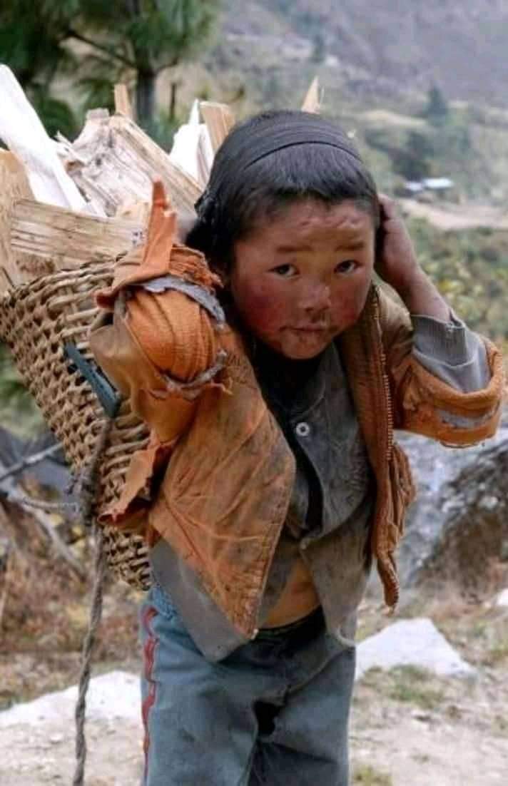 I have to work for my home at Taksing, Upper Subansiri,Arunachal Pradesh. #RuralEmpowerment #rurallife #ruraltourism #kids #kidsplanet