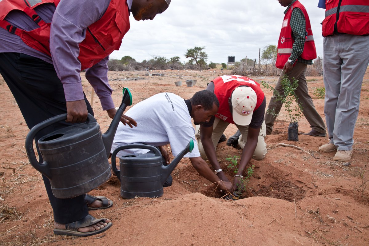 IFRC Africa tweet media