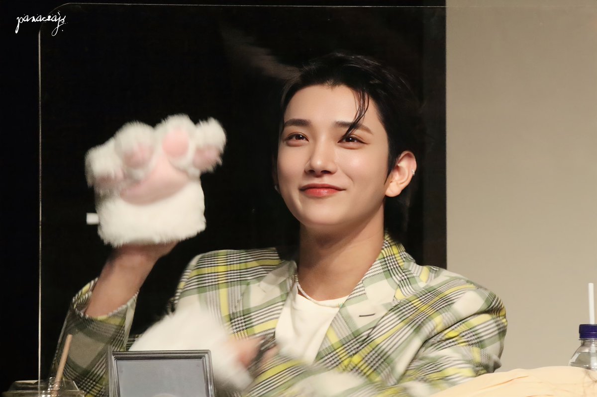 jeongshuah's tweet photo. joshua is one adorable kitty #조슈아 https://t.co/hREKvrBdRU