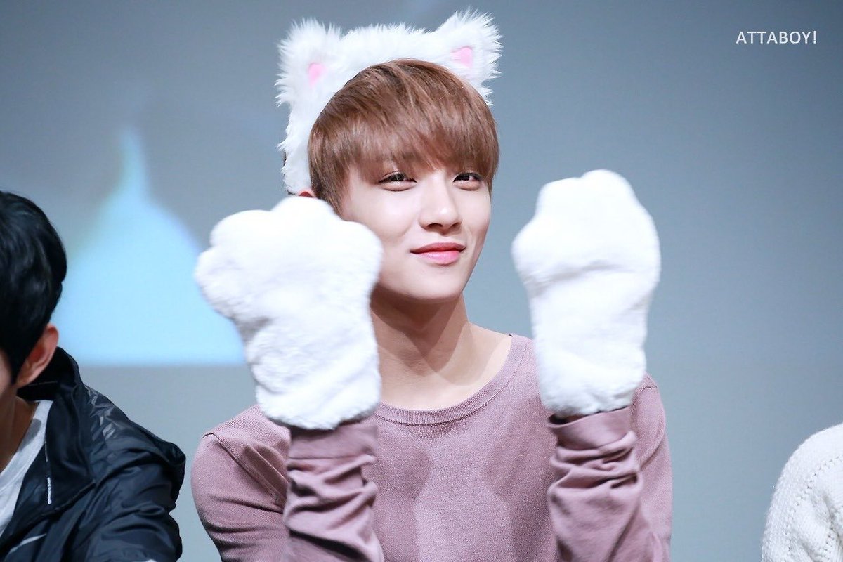 jeongshuah's tweet photo. joshua is one adorable kitty #조슈아 https://t.co/hREKvrBdRU