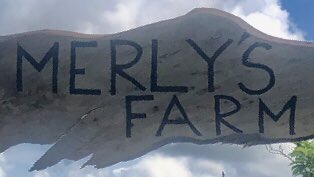 merlys_farm's tweet photo. To be #self_sufficient is to work in your #offgrid #homestead Peace Garden by honoring the Portal to the other side through garden meditation and prayer, establishing peace on your #farm for your final resting place. Learn how at #MerlysFarm https://t.co/qoC7c42wIJ https://t.co/IY65c6MBzy