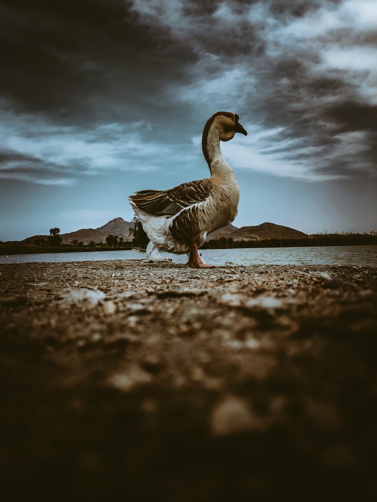 ArtinGLK's tweet photo. Late GM from me Fam 🌞🙋
I had a cold for a few days and that was why I was not on Twitter. I hope you are all well 💛🫂
#NFTCommumity https://t.co/2ZmOm9aUNB