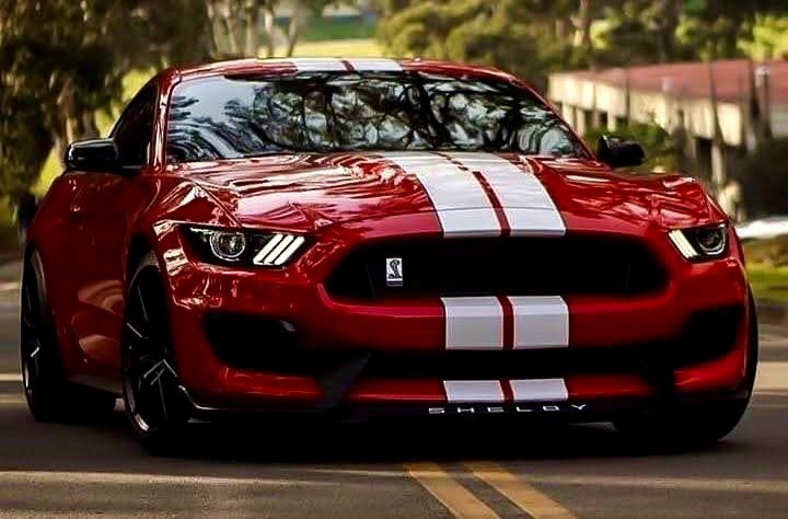 Cobra3dD's tweet photo. “ Mustang Monday “ https://t.co/0HOLXSwZ6K