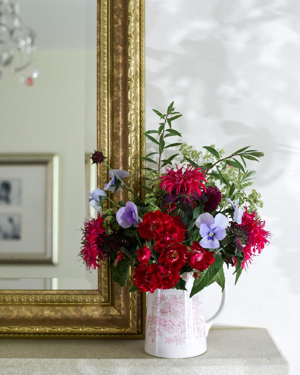 Monday! After all the Jubilations! 👑💂‍♂️🎂🇬🇧 🎈
 
A small bear in a duffle coat from Darkest Peru had the perfect words…
“Thank you Ma’am, for everything.” 

#PlatinumJubilee #RoyalFamily #PaddingtonBear