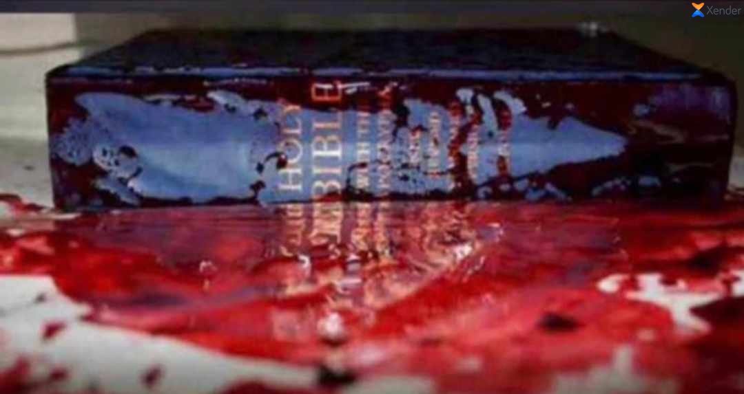 abosede_m's tweet photo. In this part of the world 🇳🇬 our only weapon is the book titled Holy bible, how holy is urs #owomassacre #OwoChurchMassacre https://t.co/zDmyxQQ8Ef