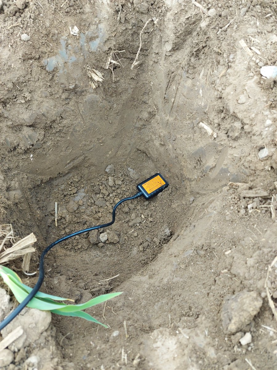 AddFerti's tweet photo. To monitor the soil moisture content, we are currently installing LoRaWAN capable soil moisture sensors in the field. The 20 sensors are strategically placed to correspond to different soil property zones in the field, which we have identified using spectroscopic soil sensing. https://t.co/ocWgqW9GWv