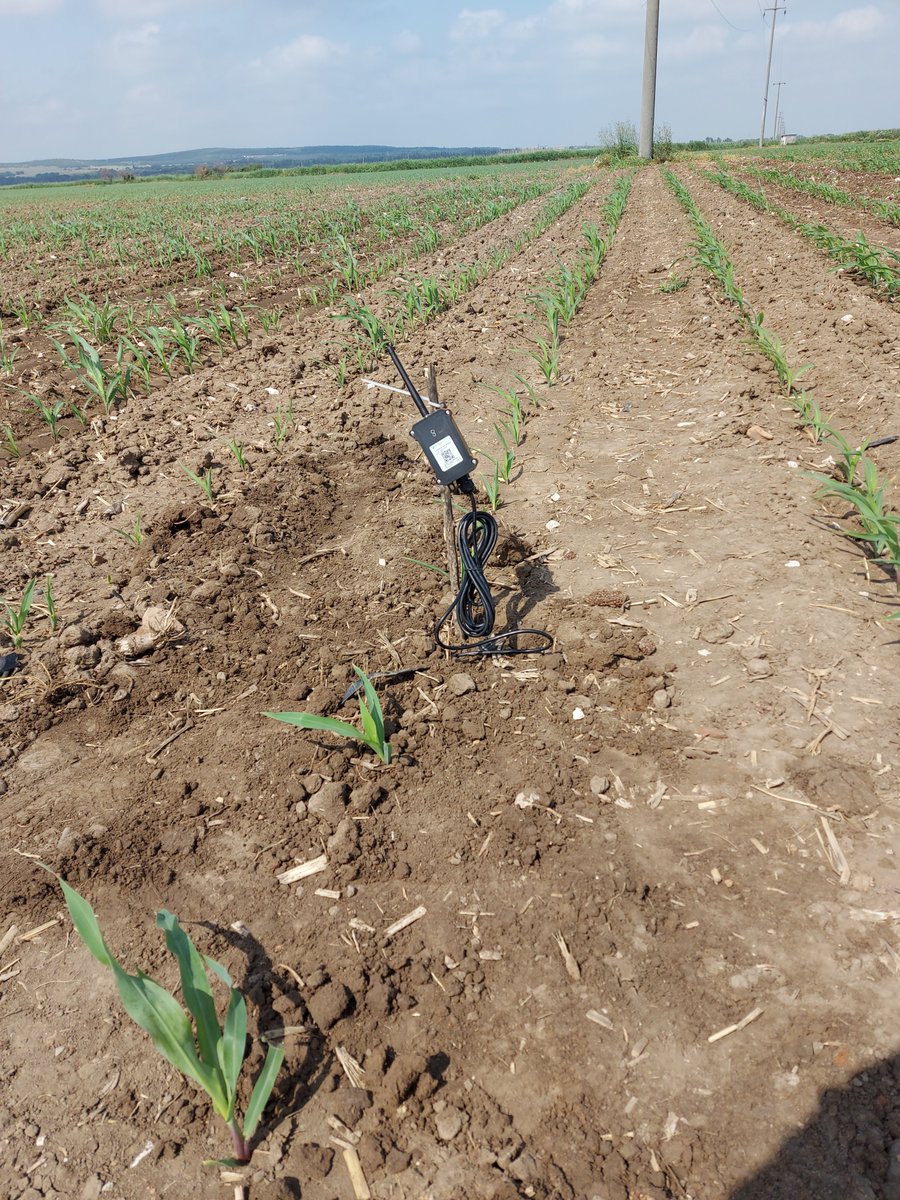 AddFerti's tweet photo. To monitor the soil moisture content, we are currently installing LoRaWAN capable soil moisture sensors in the field. The 20 sensors are strategically placed to correspond to different soil property zones in the field, which we have identified using spectroscopic soil sensing. https://t.co/ocWgqW9GWv