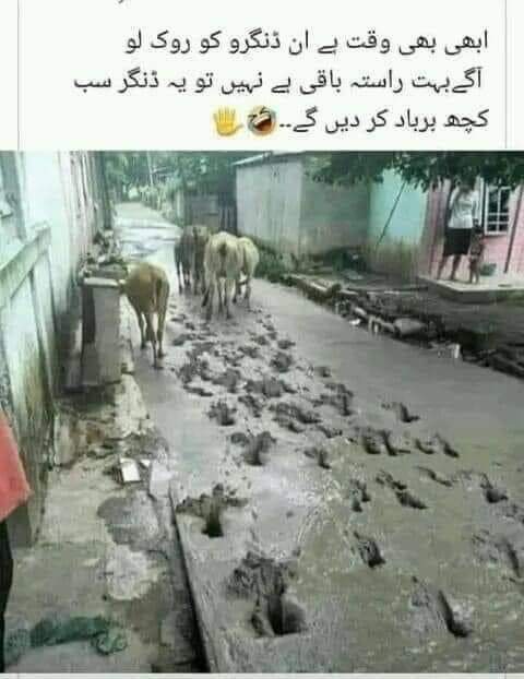 FalconArms's tweet photo. #ImranKhan 
#ImranRiazKhan 
#ISI 
#ImportedGovernmentnotacceptable 
#امپورٹڈ_حکومت_نامنظور
#امپورٹڈ_مافیا_نامنظور https://t.co/RIbeeorkZa