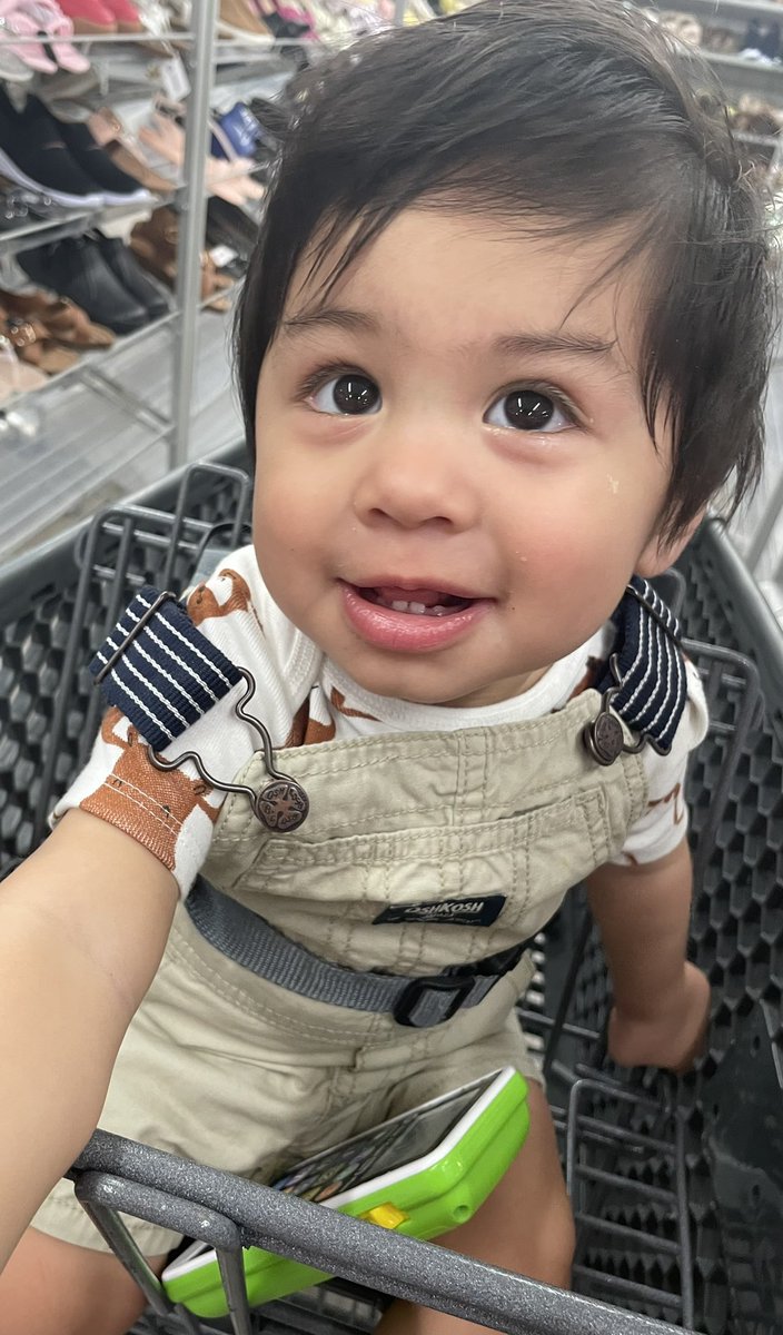 alinaluv_91's tweet photo. Can’t believe this sweet angel turns one next month. https://t.co/ZVwSFvlK32