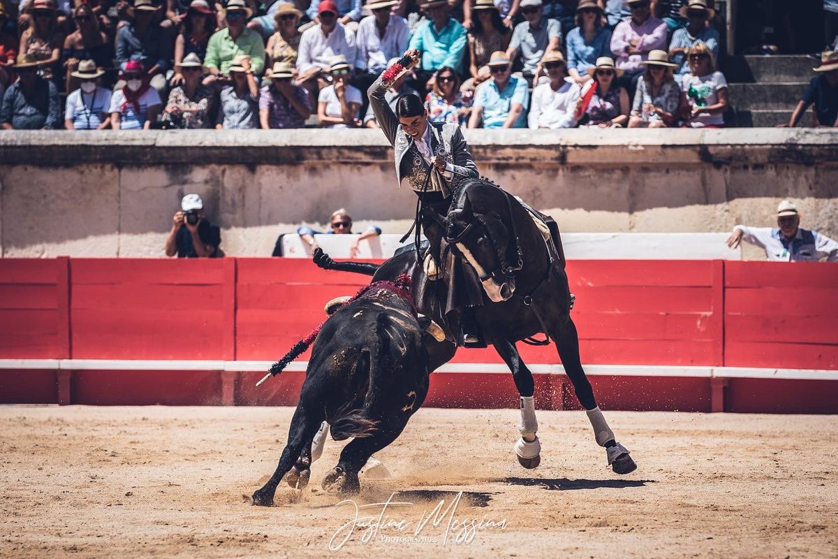#Nîmes 🇫🇷 5️⃣ | Oreja para <a href="/LeaVicens/">Léa Vicens</a> tras lidiar al quinto. Ovacionado en arrastre el toro de Fermín Bohórquez.

📸 <a href="/Justine_Messina/">Justine Messina</a>