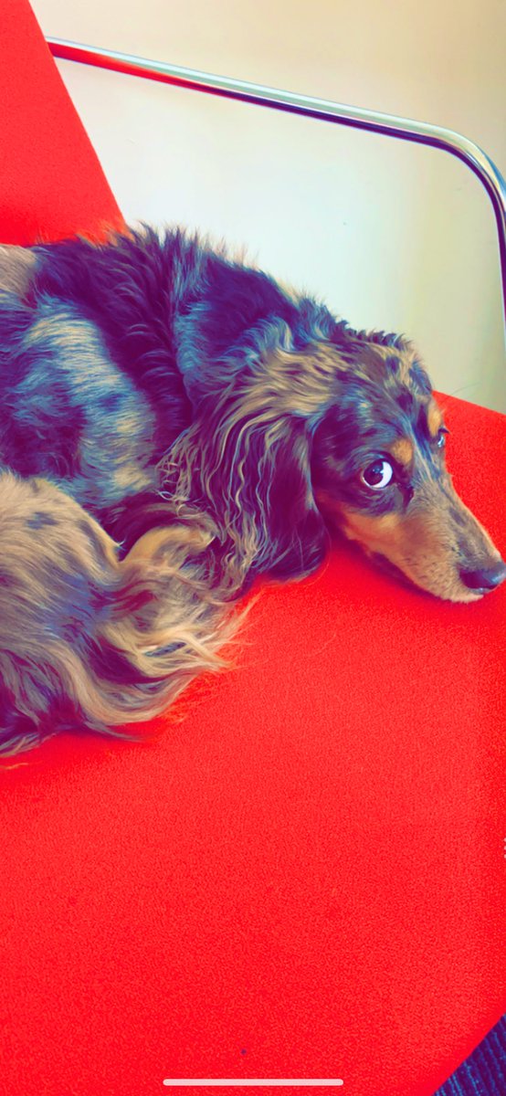 debbschanz's tweet photo. Hurry up + decide if U want the car mum.  I’m sooooo bored 😆
#thatlookthough https://t.co/8UspQKtCFy