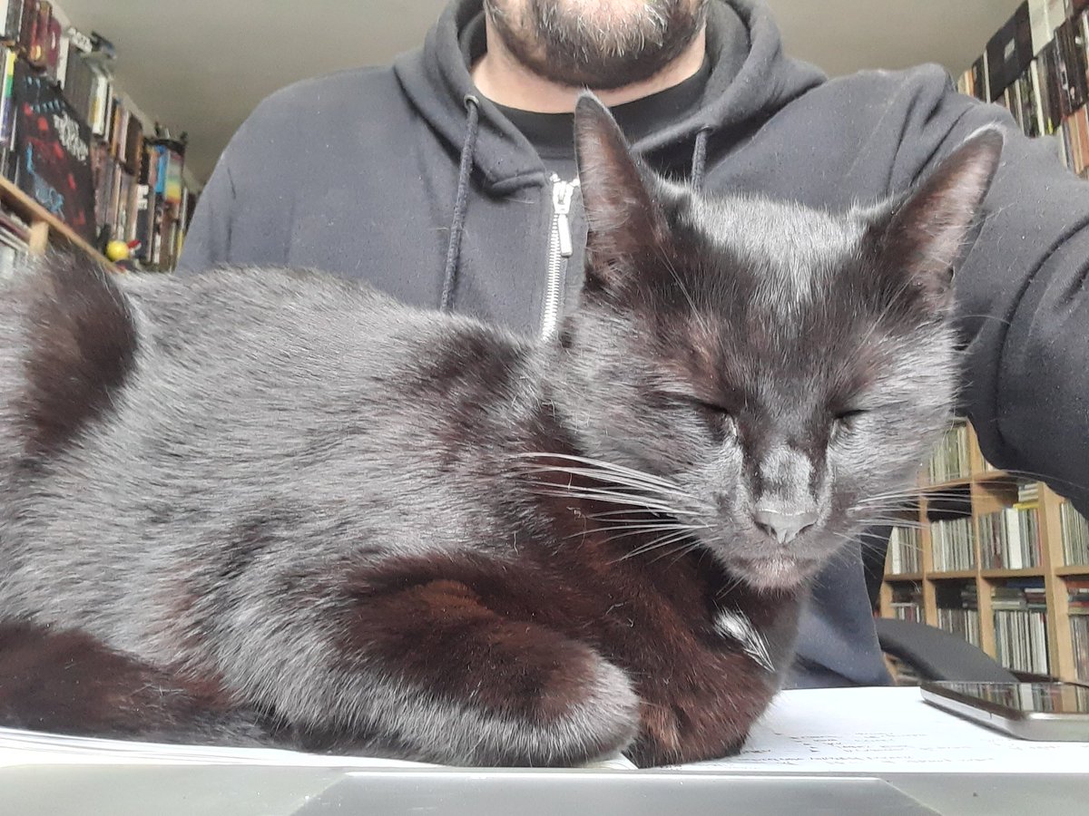 UniKentProc's tweet image. &quot;We&apos;ve given it some thought, and Captain Fluffington wants a meeting.&quot;