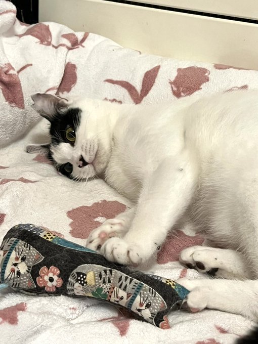 ふう… 