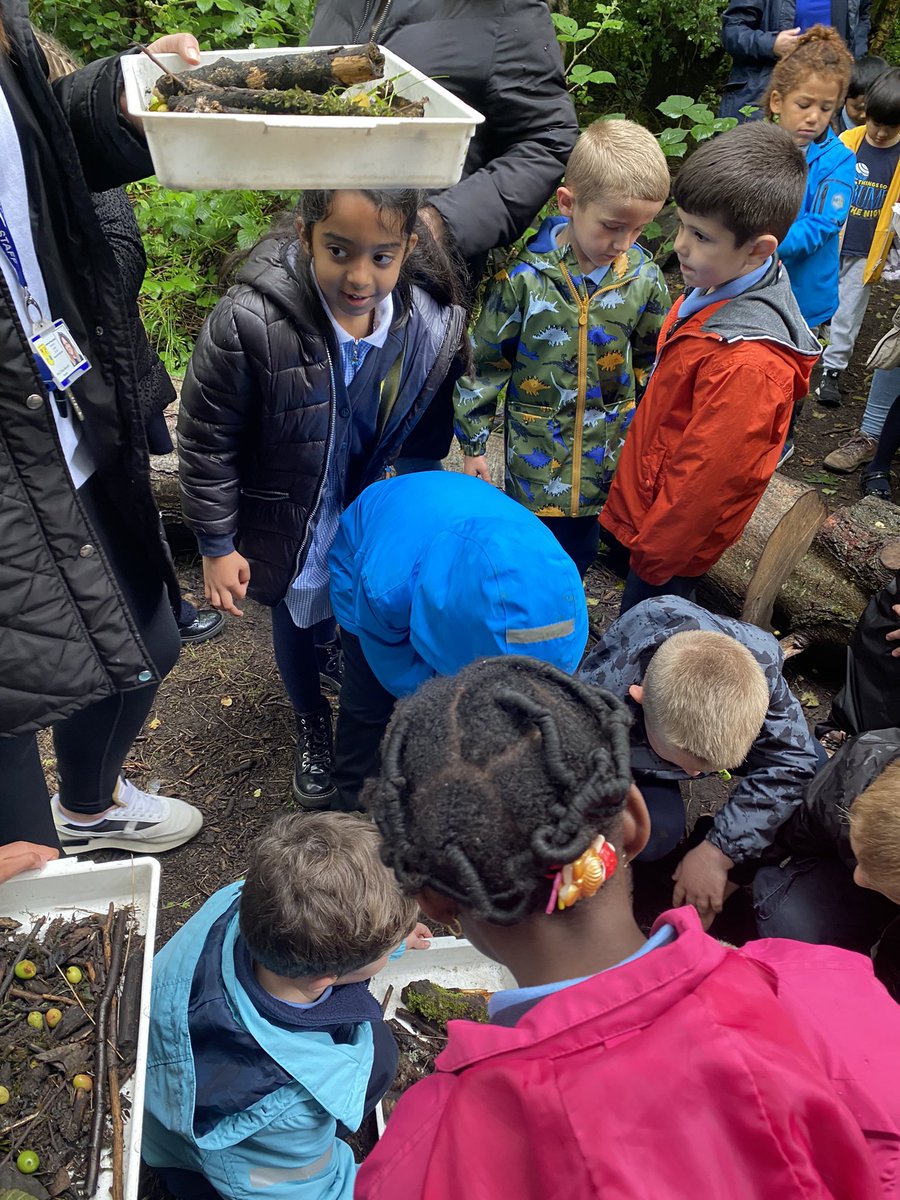 Mini beast hunting <a href="/RSPBNewport/">RSPB Newport Wetlands</a> @MissRees96 <a href="/LansdownePS/">Lansdowne Primary</a>