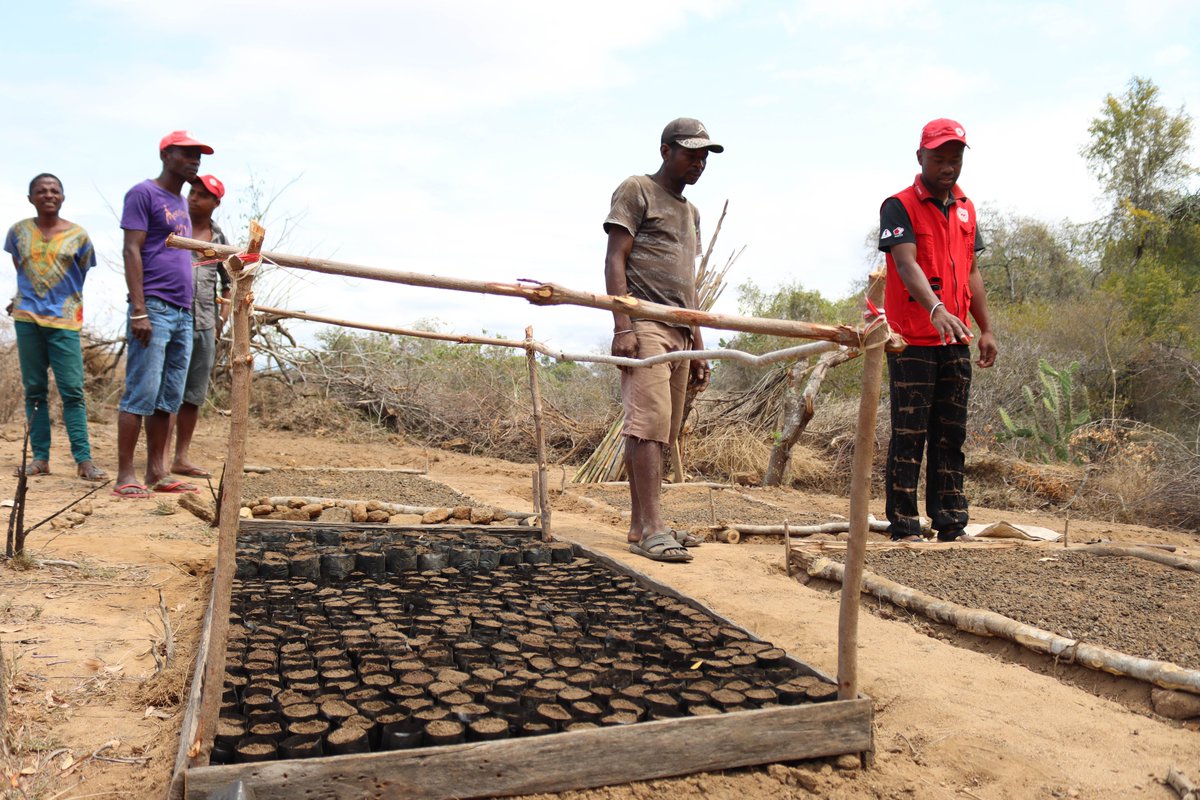 IFRC Africa tweet media