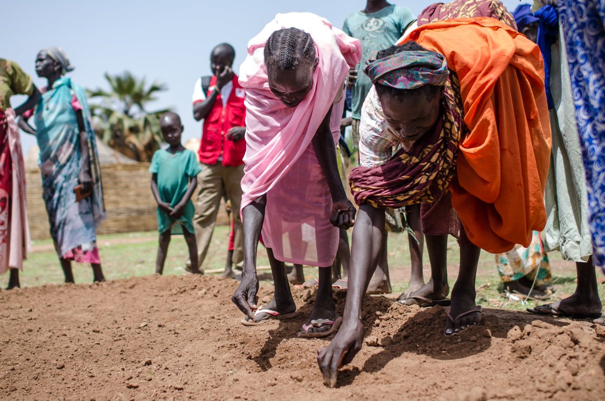 IFRC Africa tweet media