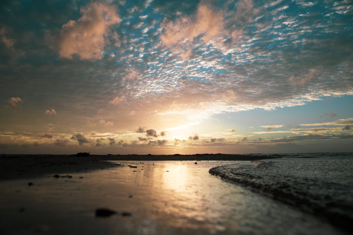 UNDPSriLanka's tweet photo. We have #OnlyOneEarth to live in. Inline w/ #WorldEnvironmentDay_2022, @UNDP #lka w/ GoSL continue to create engagement + partnership opps for #GreenDev, to conserve ecosystems + support 🇱🇰 meet its commitments for a healthy planet.

Read more👉🏼 https://t.co/RB1uIuc5EN https://t.co/ANGCberOmL