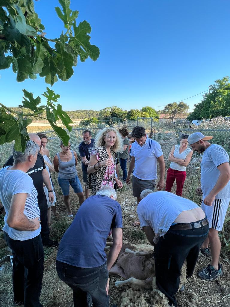 VBourcet2022's tweet photo. [1/2] Hier, au plus près de la ruralité lors de ma visite d'une exploitation agricole, j'ai pu m'entretenir sur les difficultés actuelles dans ce domaine. Il est important de rester en lien avec le terrain, toucher du doigt chaque situation pour mieux formuler des solutions. https://t.co/SNMSzouXby