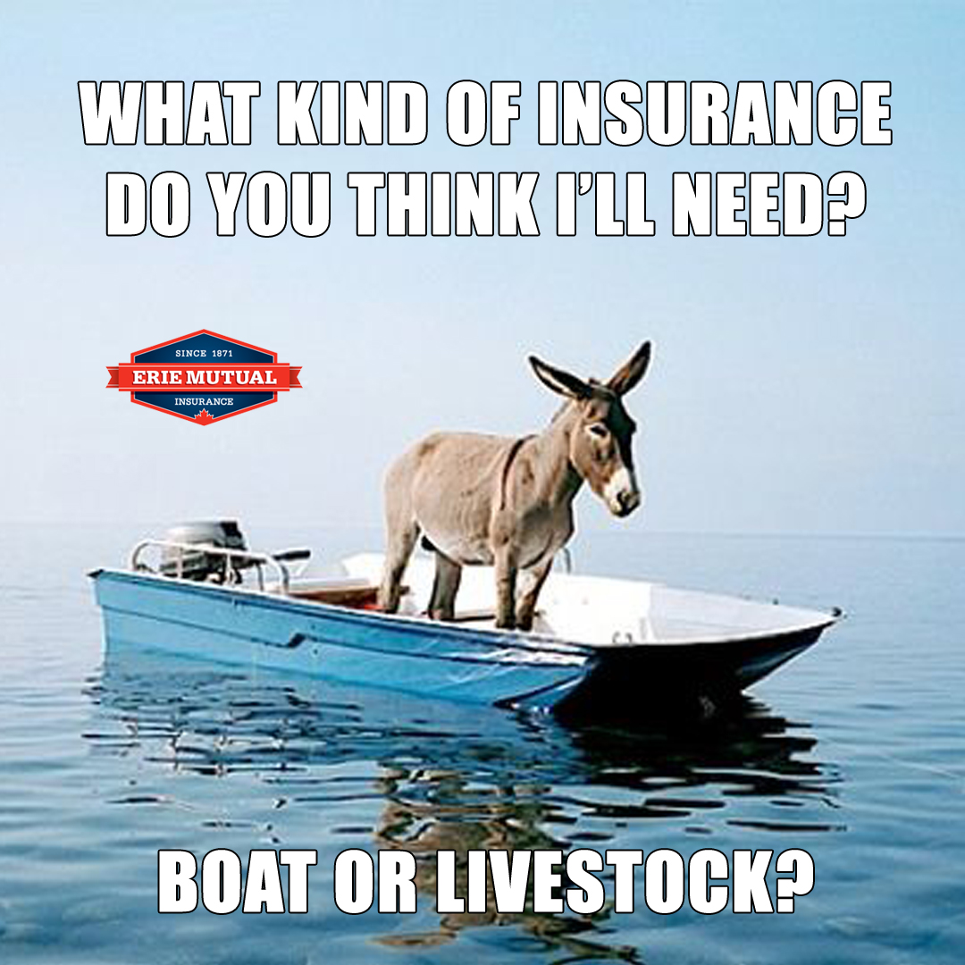 ErieMutual's tweet photo. You might not know what you need but we do! 😀 Give us a call to go over your coverage options today! 📱
#insurance #boatinsurance #farminsurance #houseinsurance #autoinsurance #ontario #ontarioinsurance #mutualinsurance https://t.co/G1D2x1ZuTF