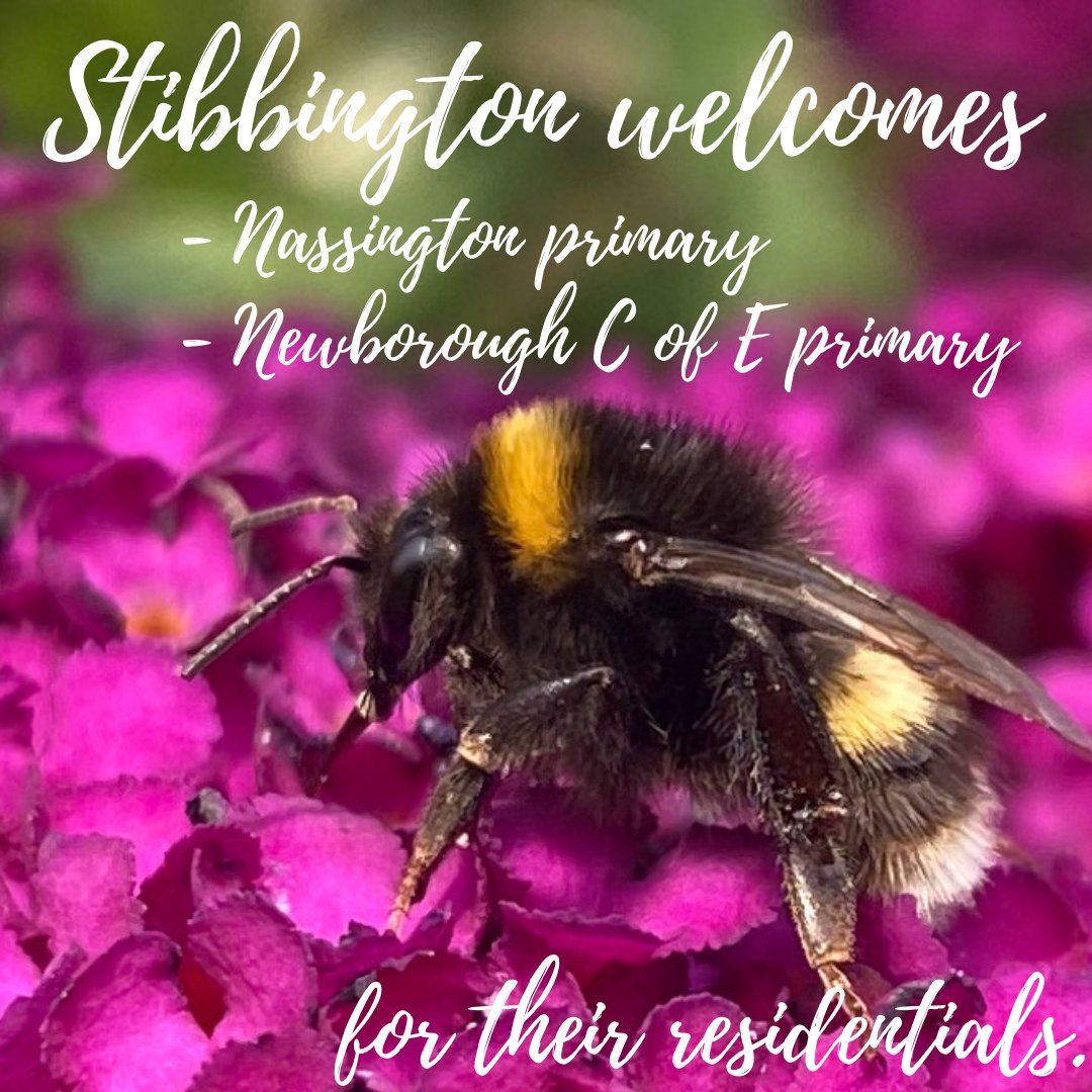 stibb_centre's tweet photo. 🌻 ☀️Although we're starting off the week with a bit of drizzle, that has not dampened our spirits!  ☀️🌻

Bookings are filling up for 2022/2023, so if you would like to book your residential with us then get in contact.
E: cees.stibbington@cambridgeshire.gov.uk
T: 01780 782386 https://t.co/GLb9AT2Fyt