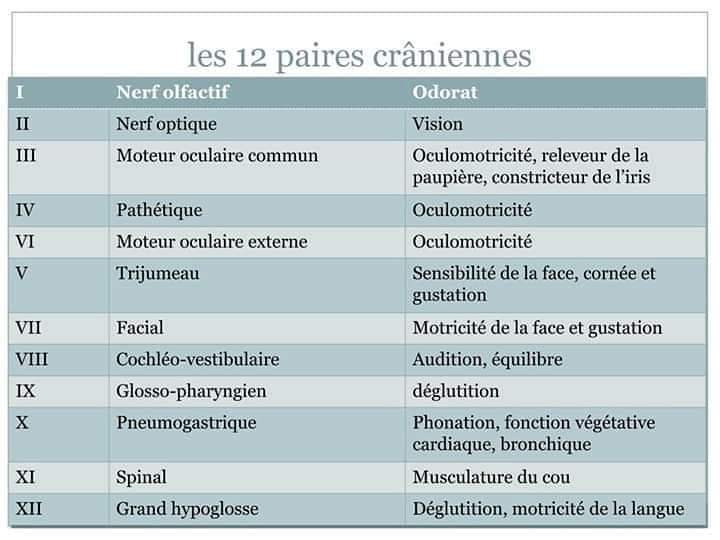 RaisFlora's tweet photo. Bon a savoir https://t.co/iMmfJvQQw7