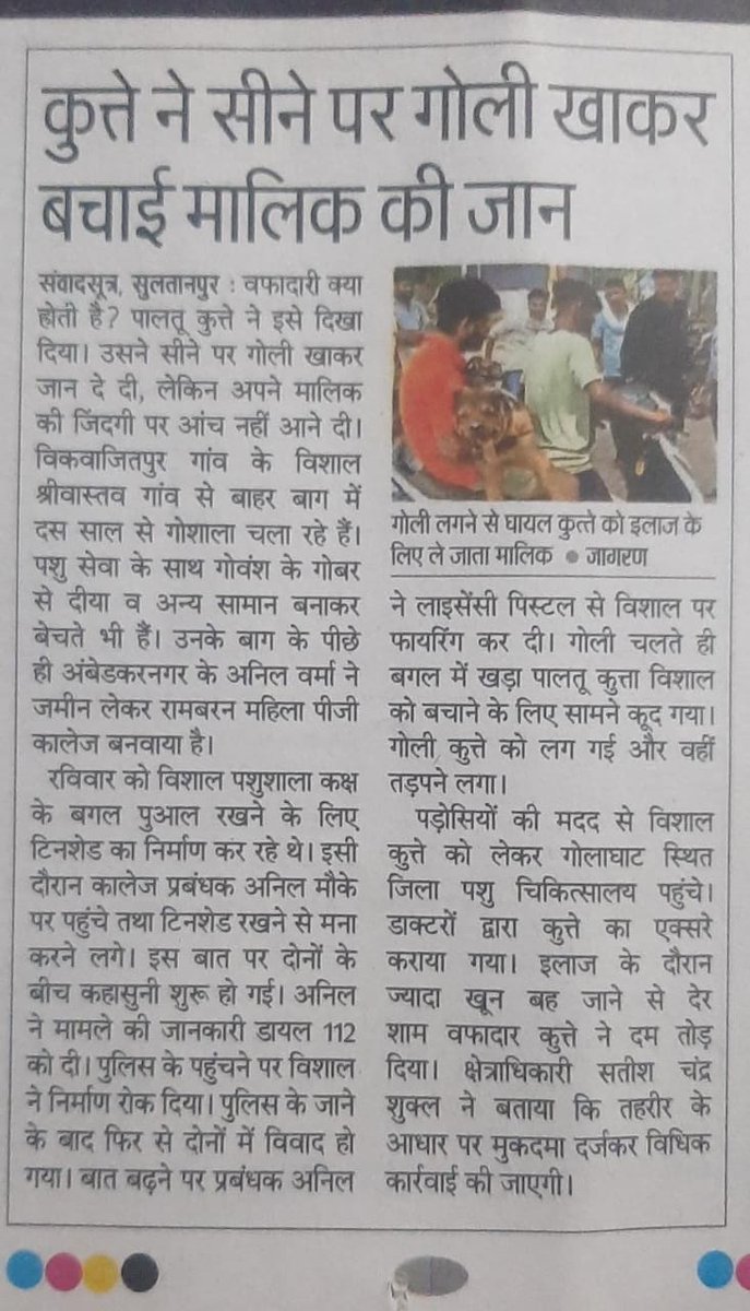 SinghUpasna26's tweet photo. कुत्ता केवल काटता नहीं,चाटता भी है पर बदले में स्नेह चाहता है।
Stop #AnimalAbuse #strictlawagainstanimalcruelty 
@pfaindia @Manekagandhibjp @PMOIndia @myogiadityanath @_AnimalAdvocate @PetaIndia @dhyanfoundation @PeepalFarm @dogitization @SquadGsm @BJP4India @PeepalFarm https://t.co/u20p7b4isF