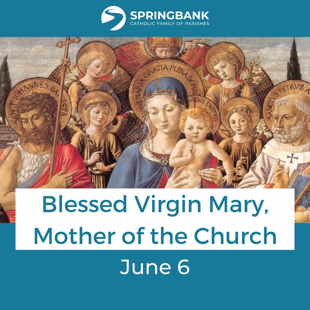Springbank Catholic Family of Parishes tweet media