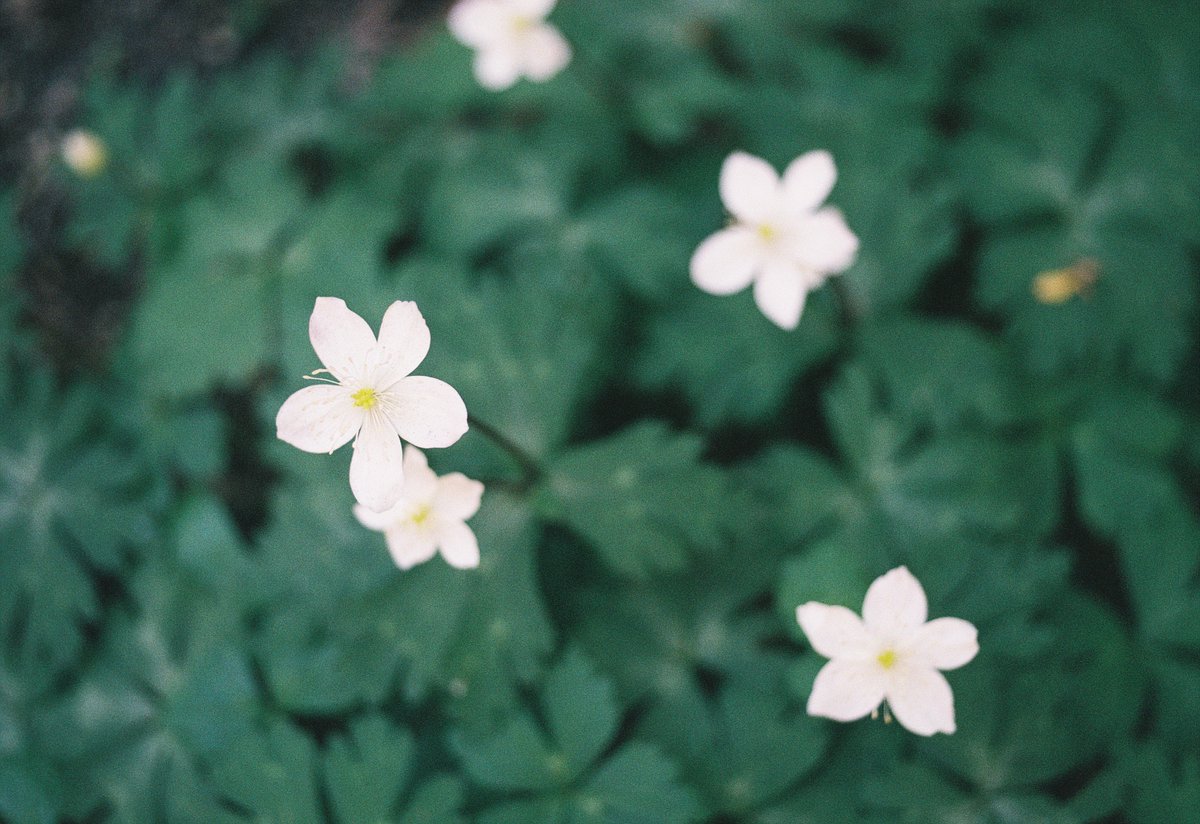 おはようございます