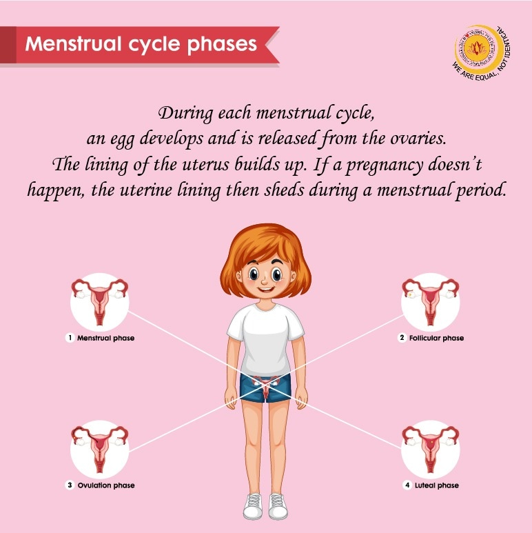 ARBCF21's tweet photo. The Phases of a Menstrual Cycle! 🩸

#womenshealth #health #menstruationcycle #menstruationmatters #periodstories #periodsbelike #periodleave #periodpositive #girl #growth #woman #awareness #arbcf #Twitter #changeforgood #Growth #India #daughter #LeadWithLove https://t.co/W3D0trcw3G