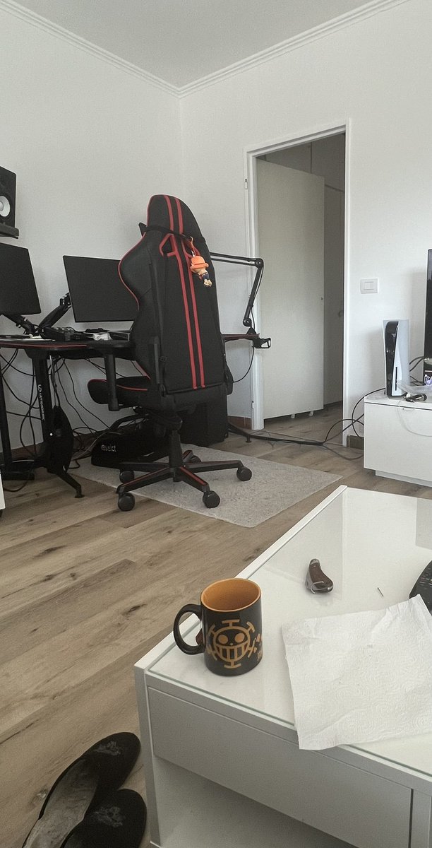 There is no cat in this image (@thereisnocat_) on Twitter photo 