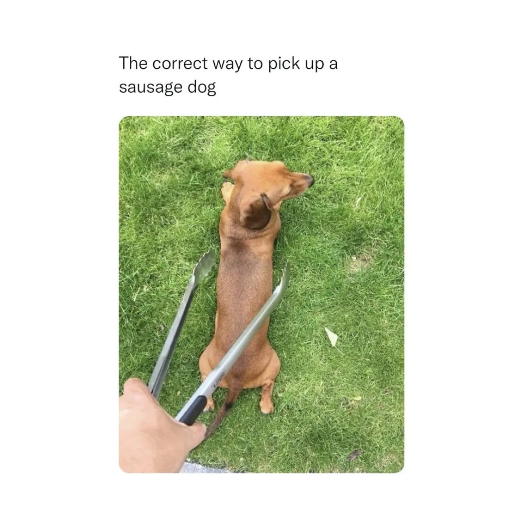 Did you know? Happy Monday everyone! Could not help but laugh when I saw this one!